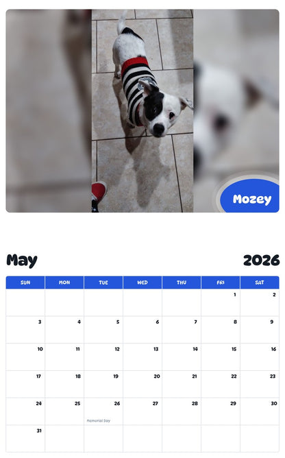 2026 - 2027 Mozey - Pawidols Pet Calendar