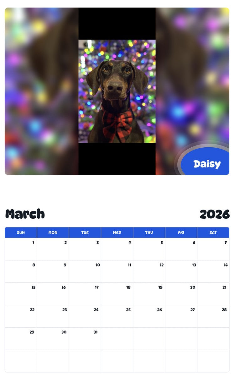 November 2025 - October 2026 Daisy - Pawidols Pet Calendar