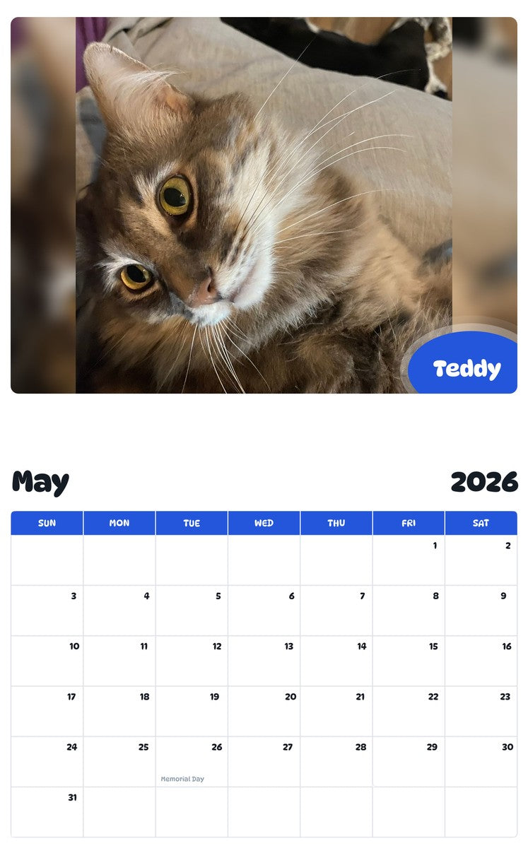2026 - 2027 Teddy - Pawidols Pet Calendar
