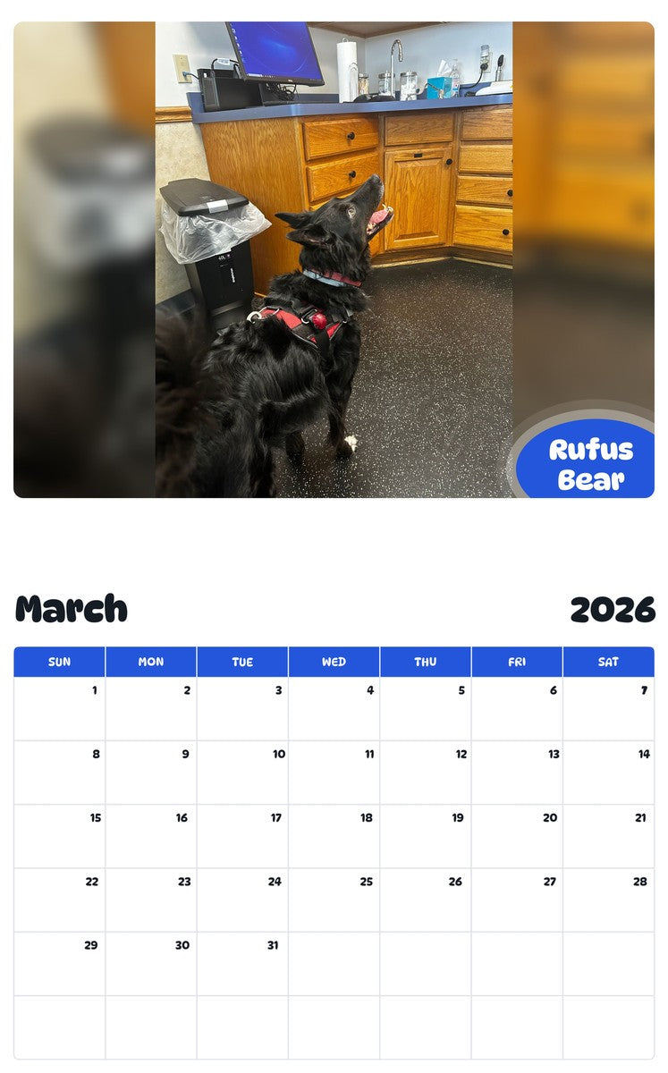November 2025 - October 2026 Rufus Bear - Pawidols Pet Calendar
