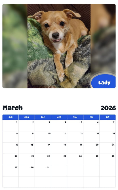 November 2025 - October 2026 Lady - Pawidols Pet Calendar
