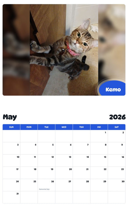 2026 - 2027 Kemo - Pawidols Pet Calendar