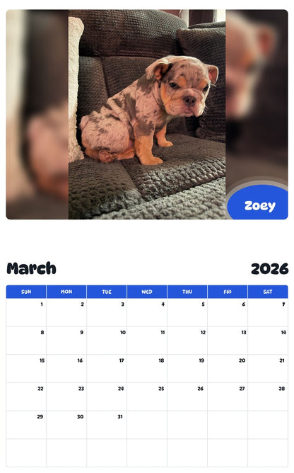 November 2025 - October 2026 Zoey - Pawidols Pet Calendar