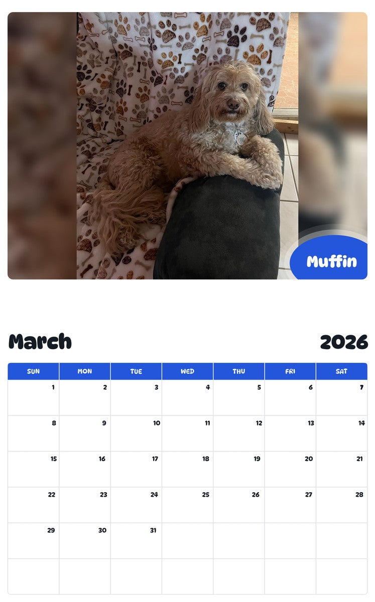November 2025 - October 2026 Muffin - Pawidols Pet Calendar
