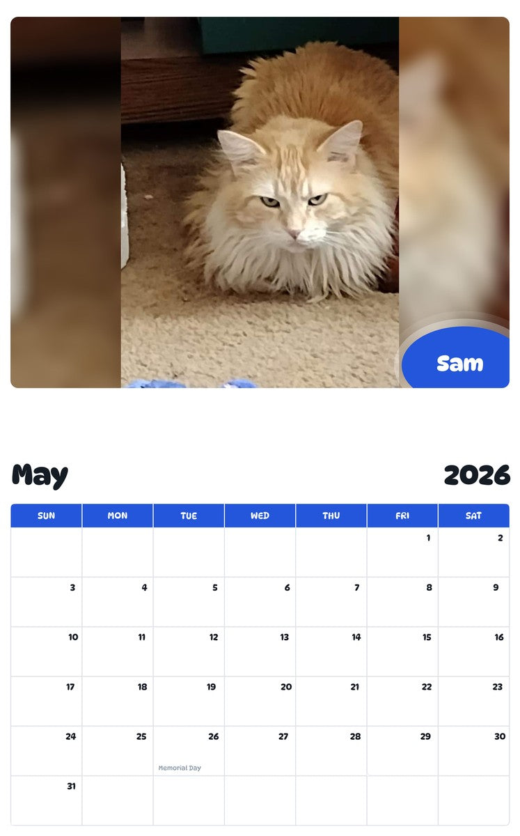 2026 - 2027 Sam - Pawidols Pet Calendar