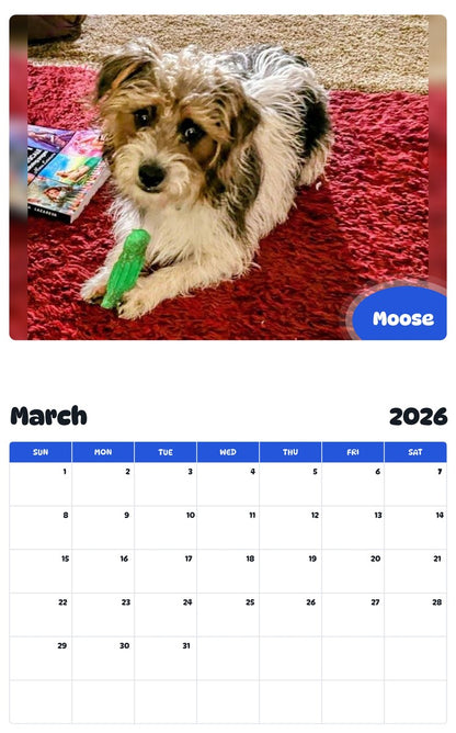 November 2025 - October 2026 Moose - Pawidols Pet Calendar
