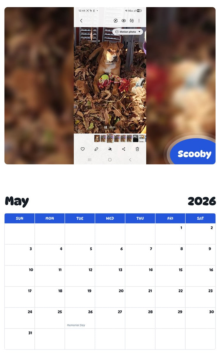 2026 - 2027 Scooby - Pawidols Pet Calendar