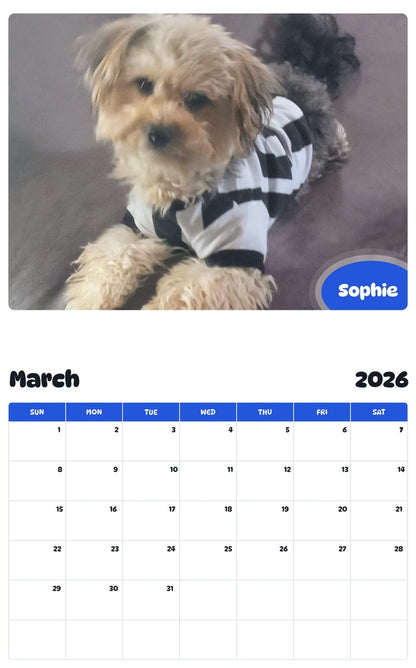 November 2025 - October 2026 Sophie - Pawidols Pet Calendar