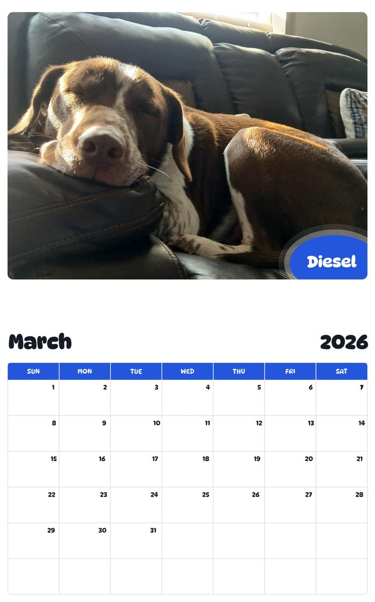 November 2025 - October 2026 Diesel - Pawidols Pet Calendar