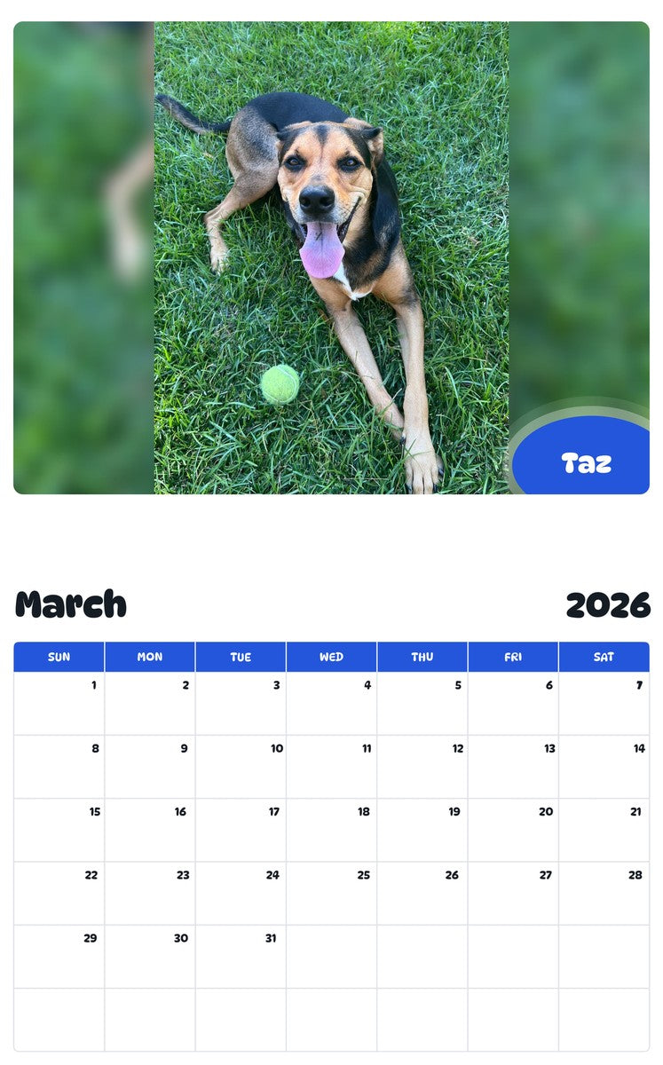 November 2025 - October 2026 Taz - Pawidols Pet Calendar
