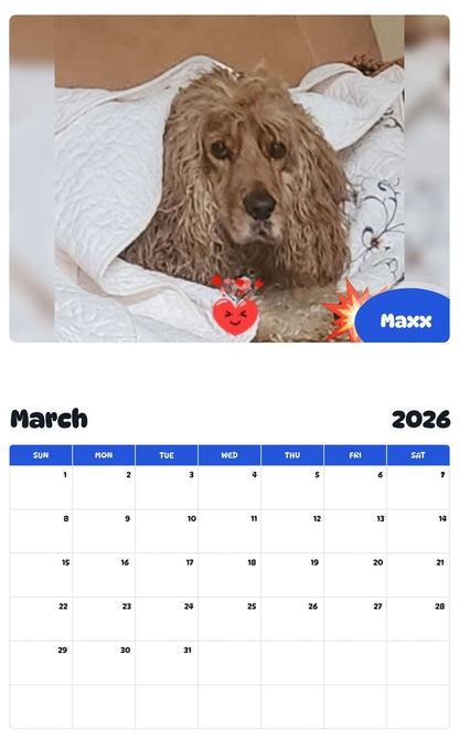 November 2025 - October 2026 Maxx - Pawidols Pet Calendar