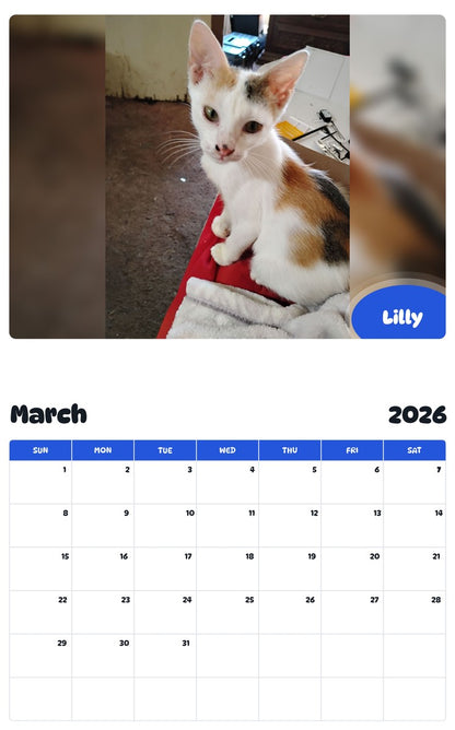 November 2025 - October 2026 Lilly - Pawidols Pet Calendar