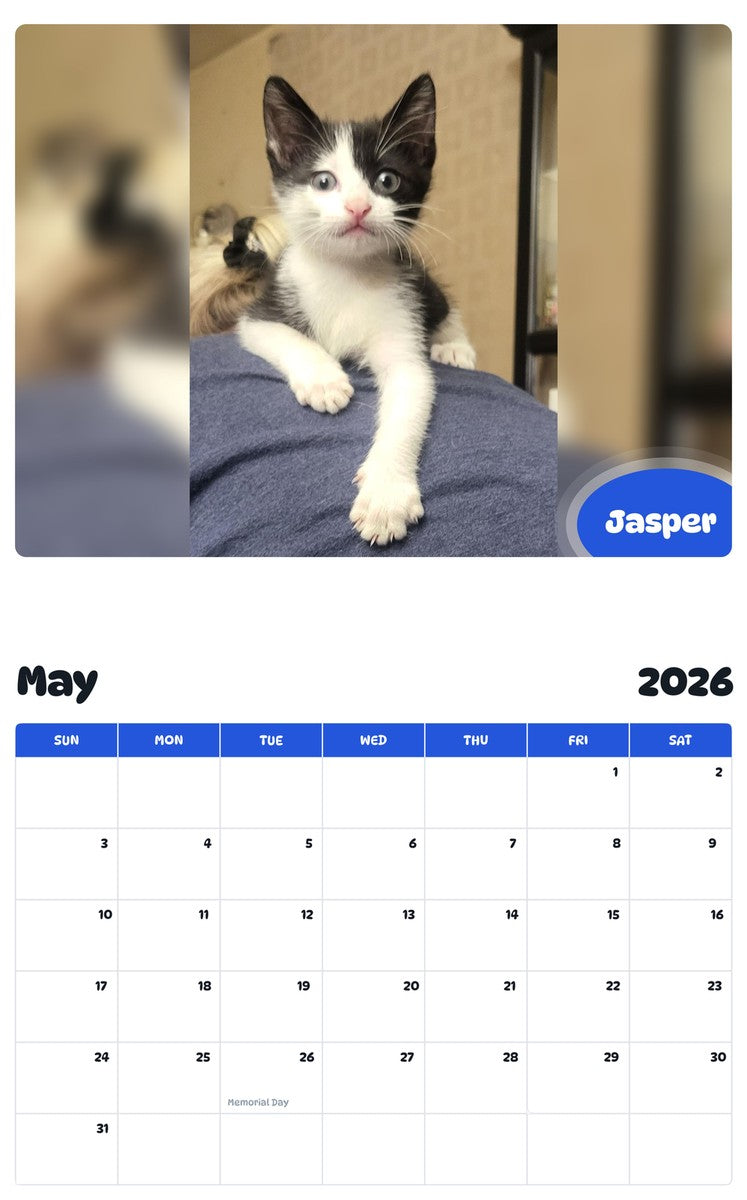 2026 - 2027 Jasper - Pawidols Pet Calendar