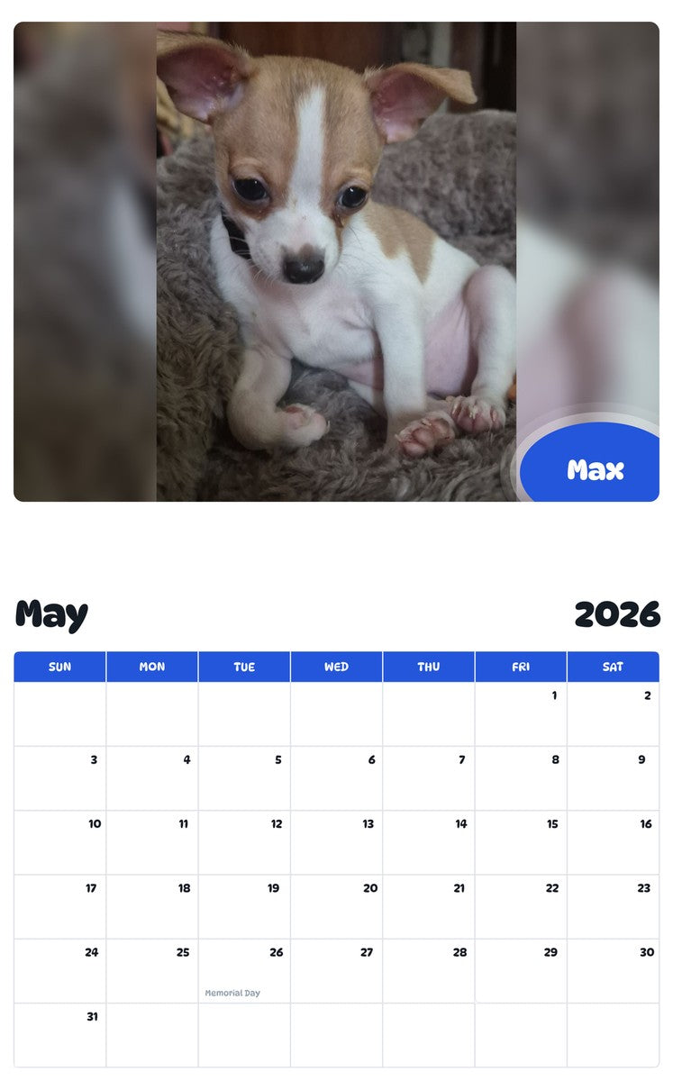 2026 - 2027 Max - Pawidols Pet Calendar