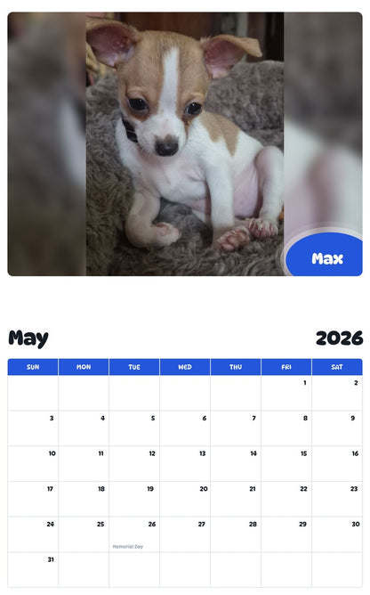 2026 - 2027 Max - Pawidols Pet Calendar