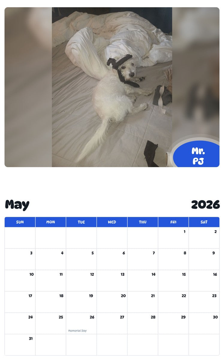 2026 - 2027 Mr. PJ - Pawidols Pet Calendar