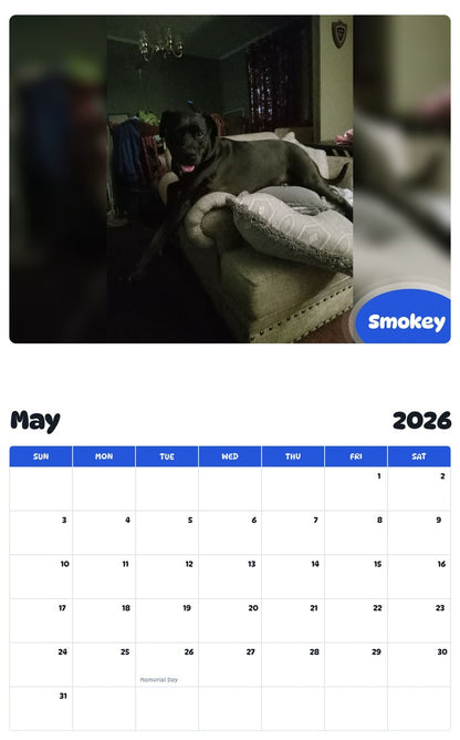 2026 - 2027 Smokey - Pawidols Pet Calendar