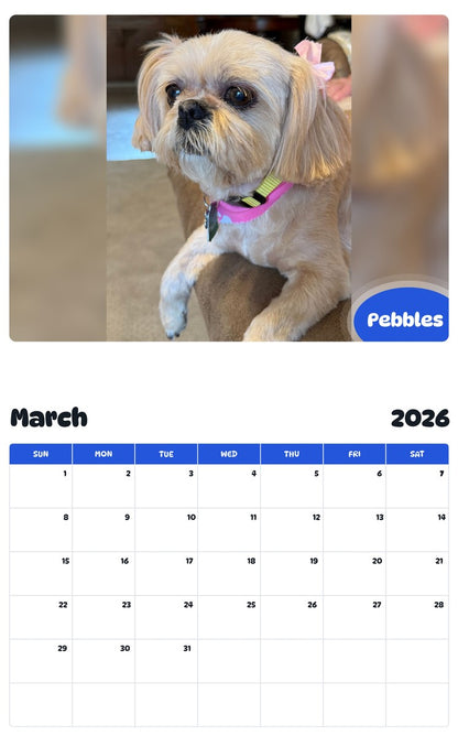 November 2025 - October 2026 Pebbles - Pawidols Pet Calendar