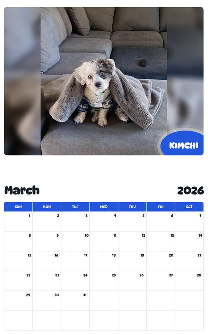 November 2025 - October 2026 KIMCHI - Pawidols Pet Calendar