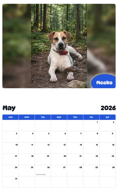 2026 - 2027 Meeko - Pawidols Pet Calendar