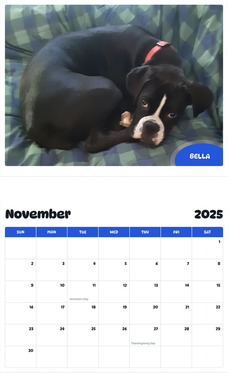 July 2025 - June 2026 Bella - Pawidols Pet Calendar