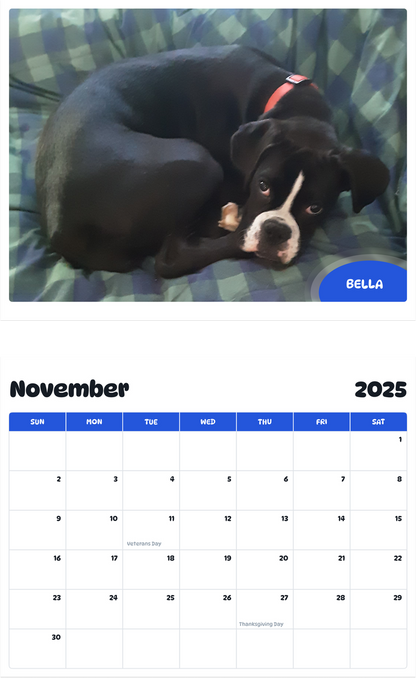 July 2025 - June 2026 Bella - Pawidols Pet Calendar