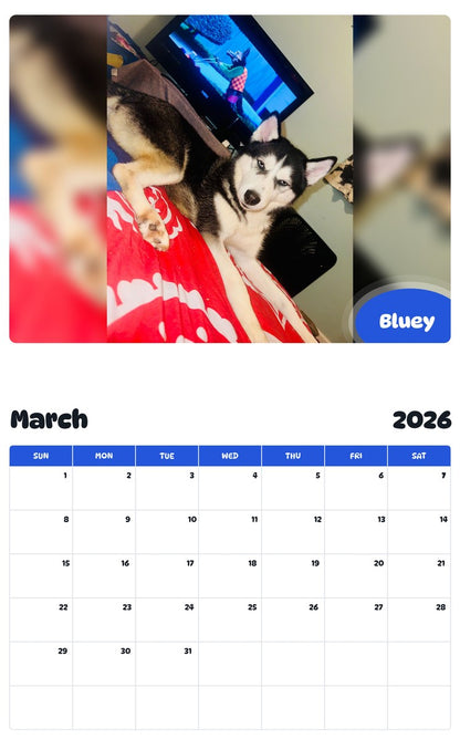 November 2025 - October 2026 Bluey - Pawidols Pet Calendar