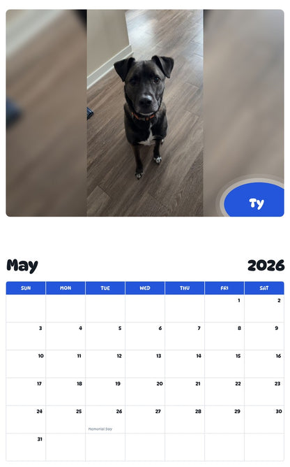 2026 - 2027 Ty - Pawidols Pet Calendar