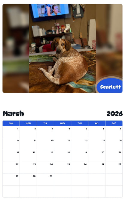 November 2025 - October 2026 Scarlett - Pawidols Pet Calendar