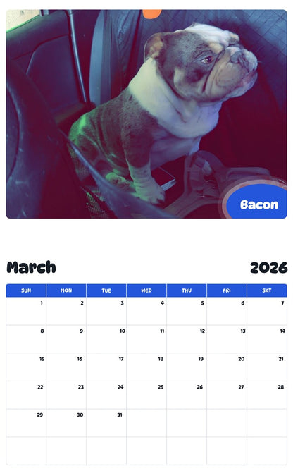 November 2025 - October 2026 Bacon - Pawidols Pet Calendar