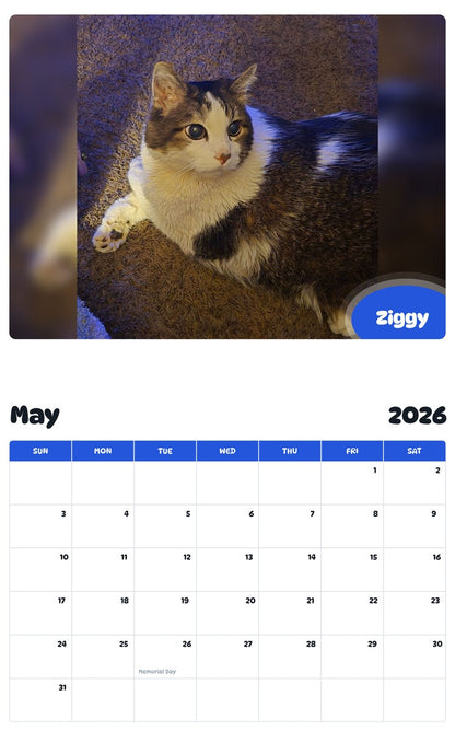 2026 - 2027 Ziggy - Pawidols Pet Calendar
