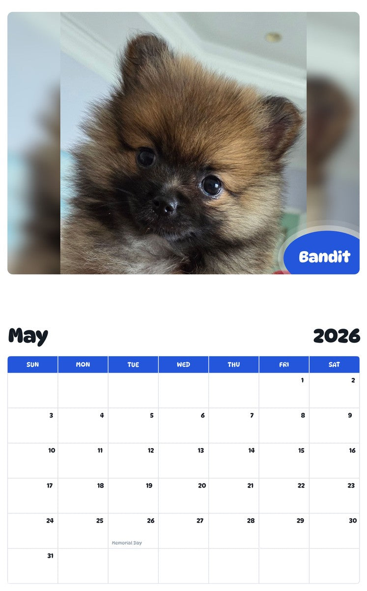 2026 - 2027 Bandit - Pawidols Pet Calendar