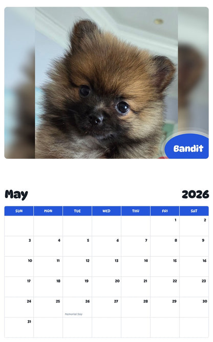 2026 - 2027 Bandit - Pawidols Pet Calendar