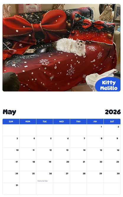 2026 - 2027 Kitty Melillo - Pawidols Pet Calendar
