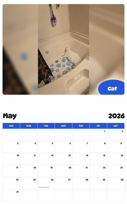 2026 - 2027 Cat - Pawidols Pet Calendar