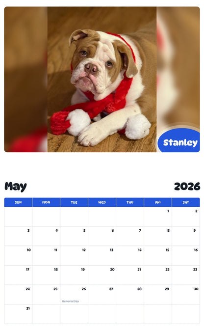 2026 - 2027 Stanley - Pawidols Pet Calendar