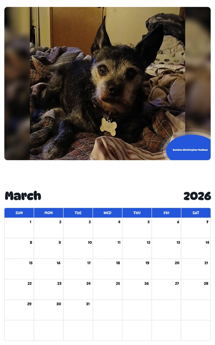 November 2025 - October 2026 Domino Christopher McGhee - Pawidols Pet Calendar