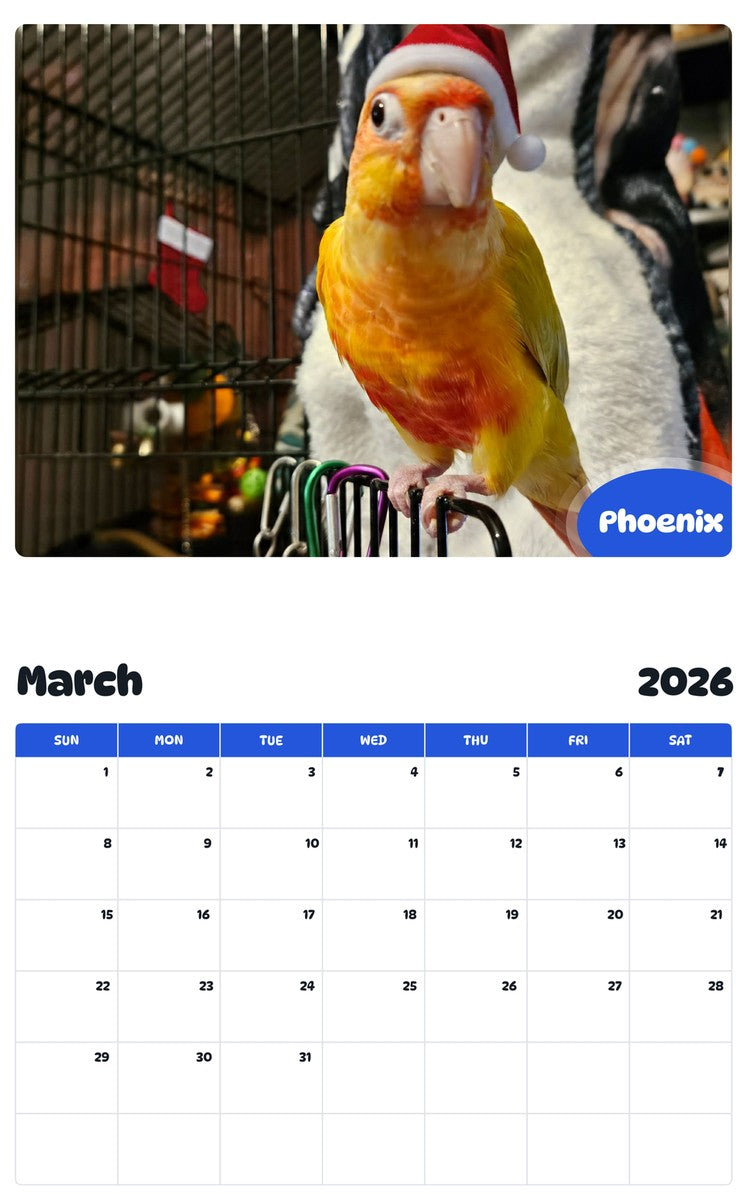 November 2025 - October 2026 Phoenix - Pawidols Pet Calendar