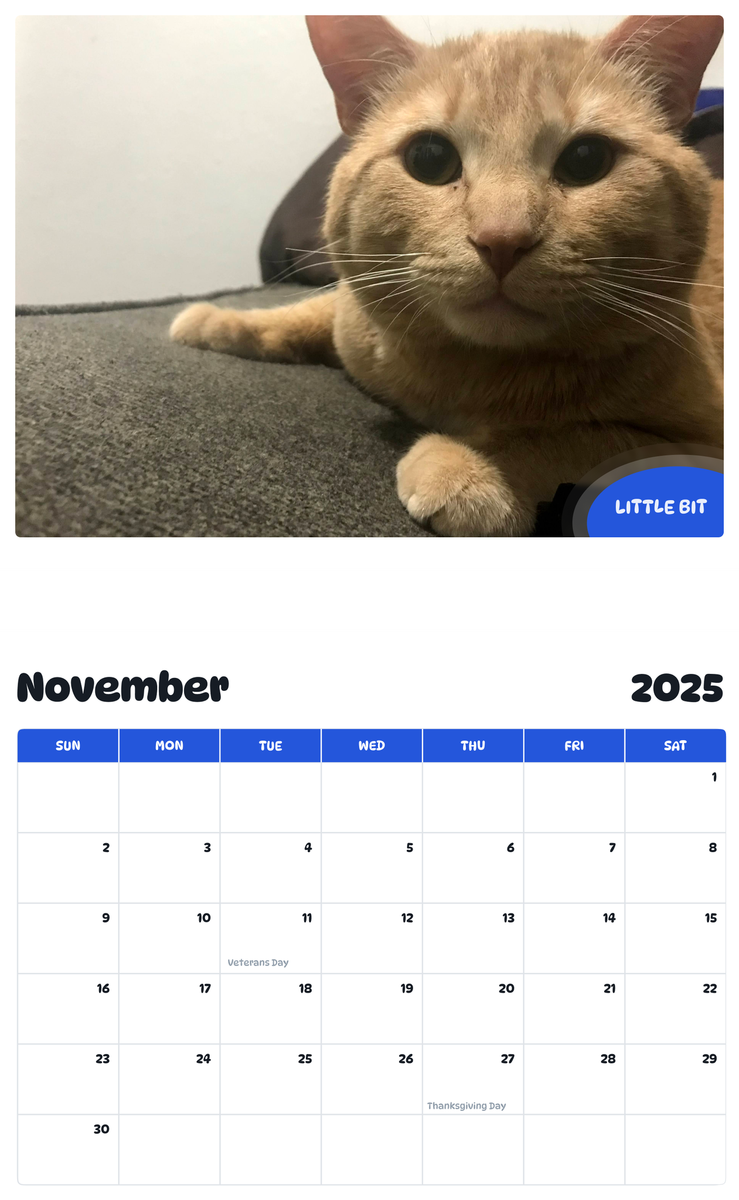 July 2025 - June 2026 Little Bit - Pawidols Pet Calendar