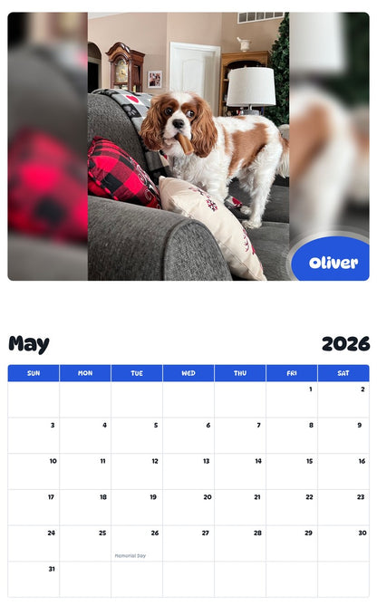 2026 - 2027 Oliver - Pawidols Pet Calendar