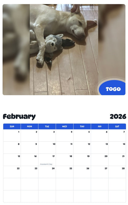 November 2025 - October 2026 TOGO - Pawidols Pet Calendar