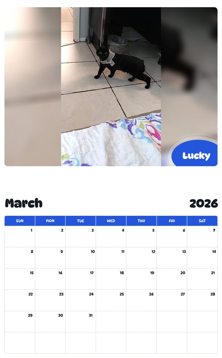 November 2025 - October 2026 Lucky - Pawidols Pet Calendar
