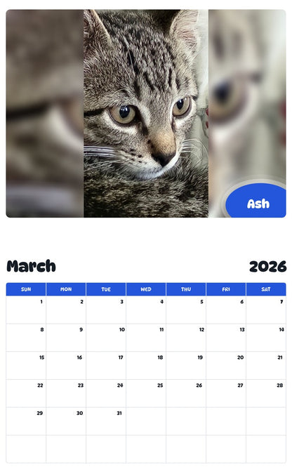 November 2025 - October 2026 Ash - Pawidols Pet Calendar