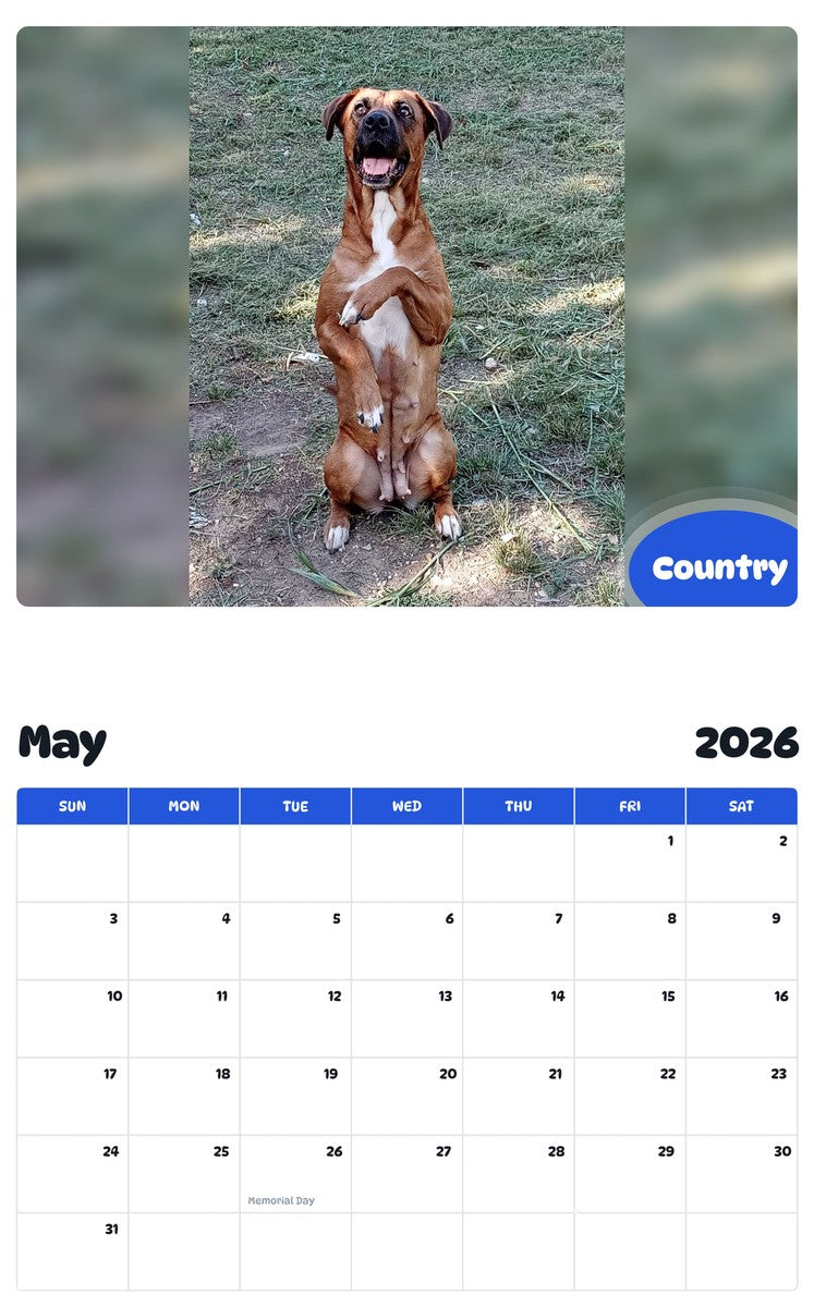 2026 - 2027 Country - Pawidols Pet Calendar