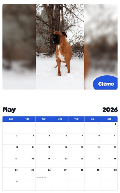 2026 - 2027 Gizmo - Pawidols Pet Calendar