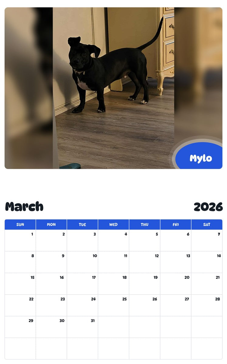 November 2025 - October 2026 Mylo - Pawidols Pet Calendar