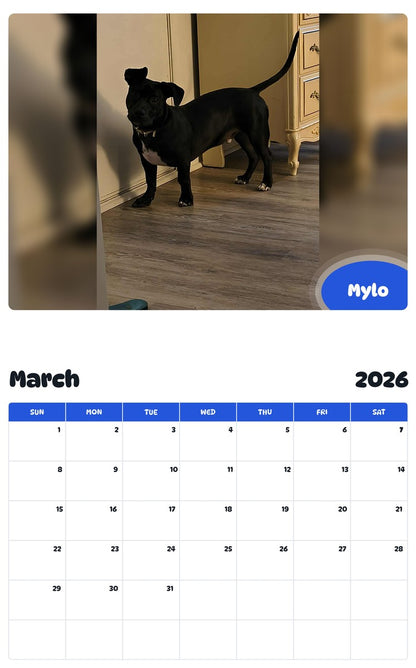 November 2025 - October 2026 Mylo - Pawidols Pet Calendar