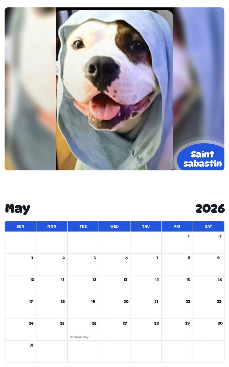 2026 - 2027 Saint sabastin - Pawidols Pet Calendar