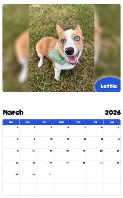 November 2025 - October 2026 Lottie - Pawidols Pet Calendar
