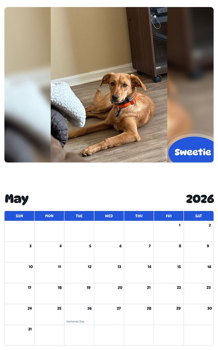 2026 - 2027 Sweetie - Pawidols Pet Calendar